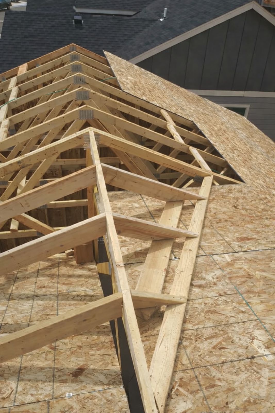 Custom roof framing project